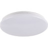 Светильник светодиодный настенно-потолочный JAZZWAY PPB STARWAY-2 12W 4000K IP20 5025455